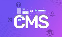 The Best 4 CMS Platforms for Launching Your Website