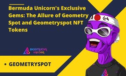 Bermuda Unicorn's Exclusive Gems: The Allure of Geometry Spot and Geometryspot NFT Tokens