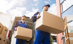 Swift Solutions: Unveiling the Best Courier Services in Tamworth