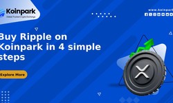 Buy Ripple on Koinpark Global Cryptocurrency Exchange in 4 simple steps