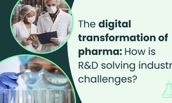 Understanding the role of R&D in the pharmaceutical industry