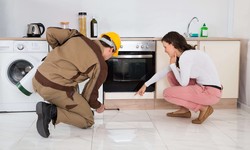 Pest Control Services: Weighing Benefits and Drawbacks for Your Consideration