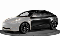 What can you gain with Tesla paint protection?
