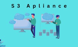 S3 Appliance: StoneFly Intelligent Solution to Cloud Storage