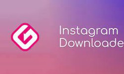 The Controversial Realm of Instagram Private Photo Downloaders: A Closer Look
