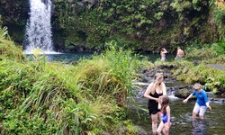 Plan A Perfect Road to Hana Tour: A Must-Read Guide