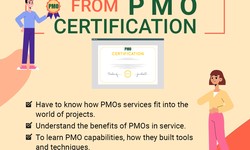 Need to Learn from PMO Certification