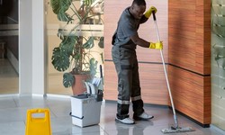 Green Living, Clean Spaces: Eco-Friendly Cleaning Services in Kensington, MD