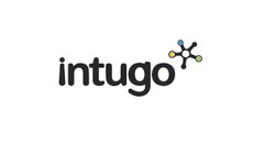Intugo’s Top 6 Solutions for Small Business Success