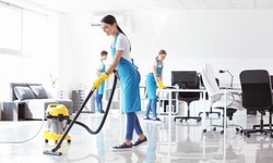 Sparkle and Shine: Premier House Cleaning Services