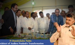 N Chandrababu Naidu: Architect of Andhra Pradesh's Transformation