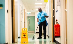 Cleaning Up the Clutter: Unleashing the Power of Professional Cleaners