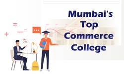 Building a Career in Commerce: Best Colleges for Specializations