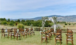 Scenic Vows: Unveiling Top Wedding Venues in West Virginia