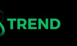Trend Bizz Business Sets Fashion Standards for Everything from Fashion Week to Daily Life