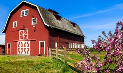 The Ultimate Guide to Barn Painting: A Step-by-Step Process