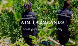 Nurturing Wealth: Exploring Agri Farmlands Investment Opportunities