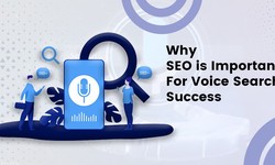 Why SEO is Important for Voice Search Success