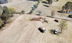 Reasons industries prefer Land clearing experts for their projects