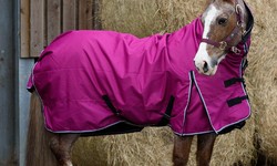 Unpacking the Layers: Lightweight vs. Heavyweight Turnout Rugs for Your Horse