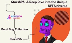 Stars895: A Deep Dive into the Unique NFT Universe