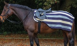 Unveiling Excellence in Equine Saddlery at Vision Saddlery Online Store