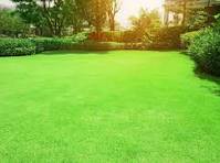 Embracing the Beauty of Native Landscapes: Creating an Indian Grass Lawn