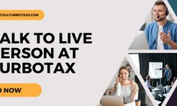 TurboTax Software: Streamlining Your Path to Effortless Tax Filing