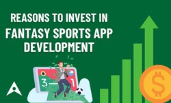 Reasons To Invest in Fantasy Sports App Development