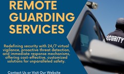 Virtual Security Guards: Ensuring Comprehensive Safety