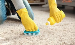 10 Things to Look Out for in a Carpet Cleaner
