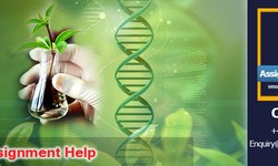 Why is Biology Assignment Help Important for Students?