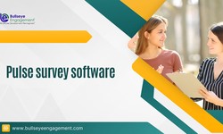 Pulse survey software