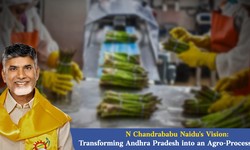 N Chandrababu Naidu's Vision: Transforming Andhra Pradesh into an Agro-Processing Hub
