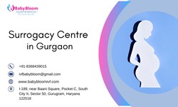 A Comprehensive Guide to Surrogacy: Nurturing Dreams at the Best IVF Centre in Gurgaon