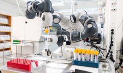 Empowering Industries: Collaborative Robots in Action