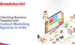 Unlocking Business Potential with Content Marketing Agencies in India