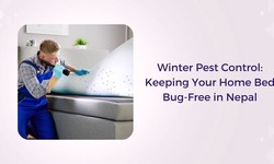 Winter Pest Control: Keeping Your Home Bed Bug-Free in Nepal