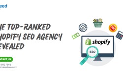 The Top-Ranked Shopify SEO Agency Revealed