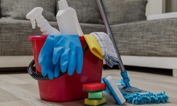 Enhancing Your Quality of Life: The Value of Expert Cleaning Services in Miami and Dallas