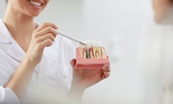 Navigating Dental Care Excellence: Your Guide to a Farmington Hills Dentist