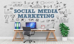 The Role of a Social Media Manager Agency