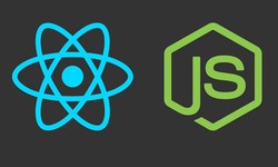 Elevating Web Experiences: A Comprehensive Overview of React JS Development Services