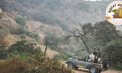 Top 5 Reasons Why a Jeep Safari in Ranthambore is a Must-Do