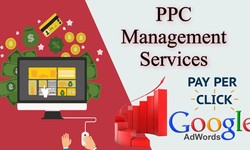Results-Driven PPC Management Services for Sustainable Growth