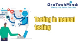 Testing in manual testing