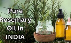 Pure Rosemary Oil Manufacturers In India