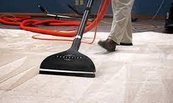 Transform Your Floors: The Ultimate Guide to Carpet Cleaning in Bonner