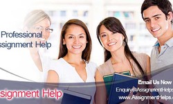 Assignment Help Online uk at Reasonable Cost