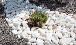 Transforming Your Outdoor Oasis: The Ultimate Guide to Using Decorative Stones for Landscaping